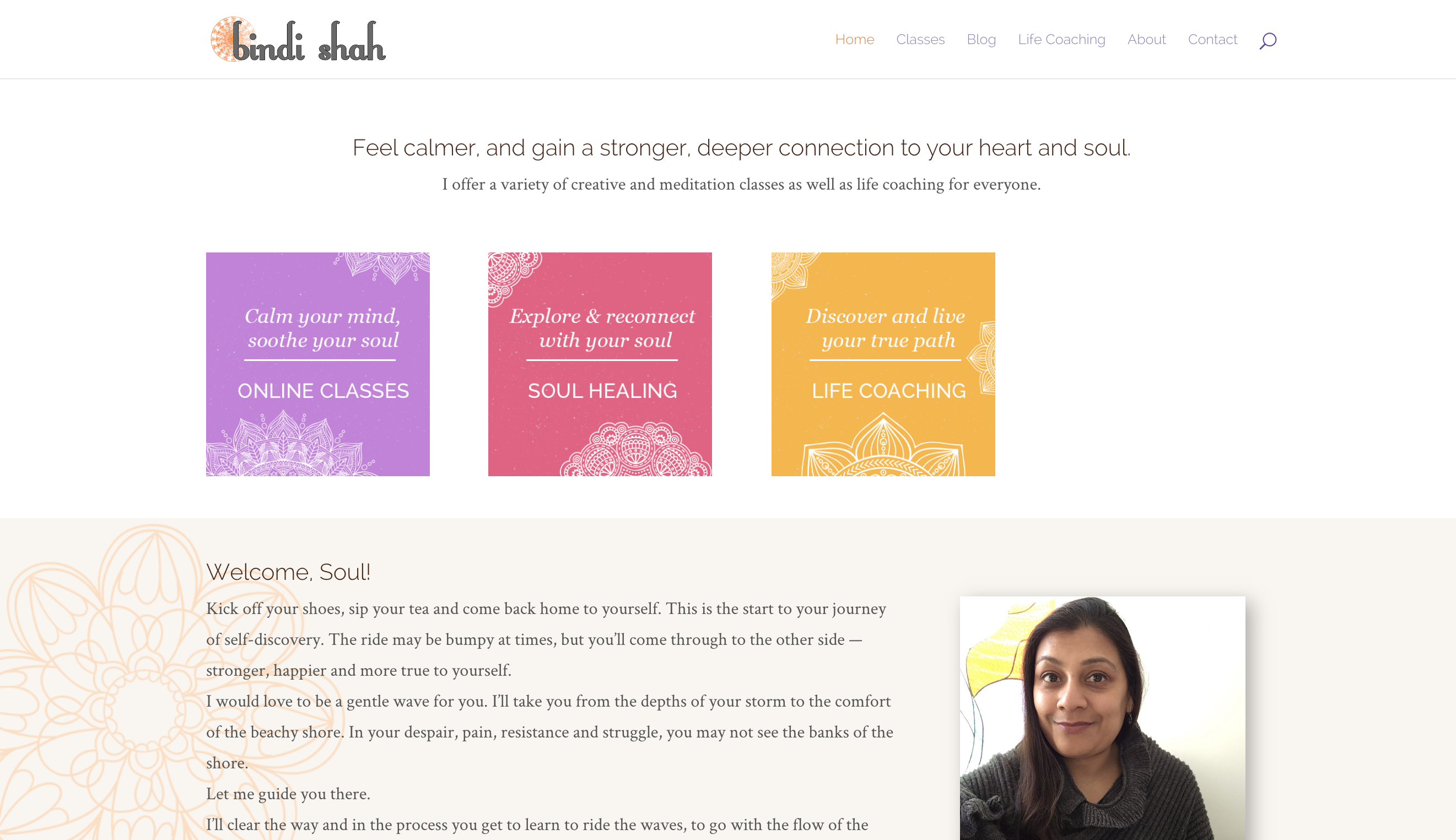 Bindi Shah website