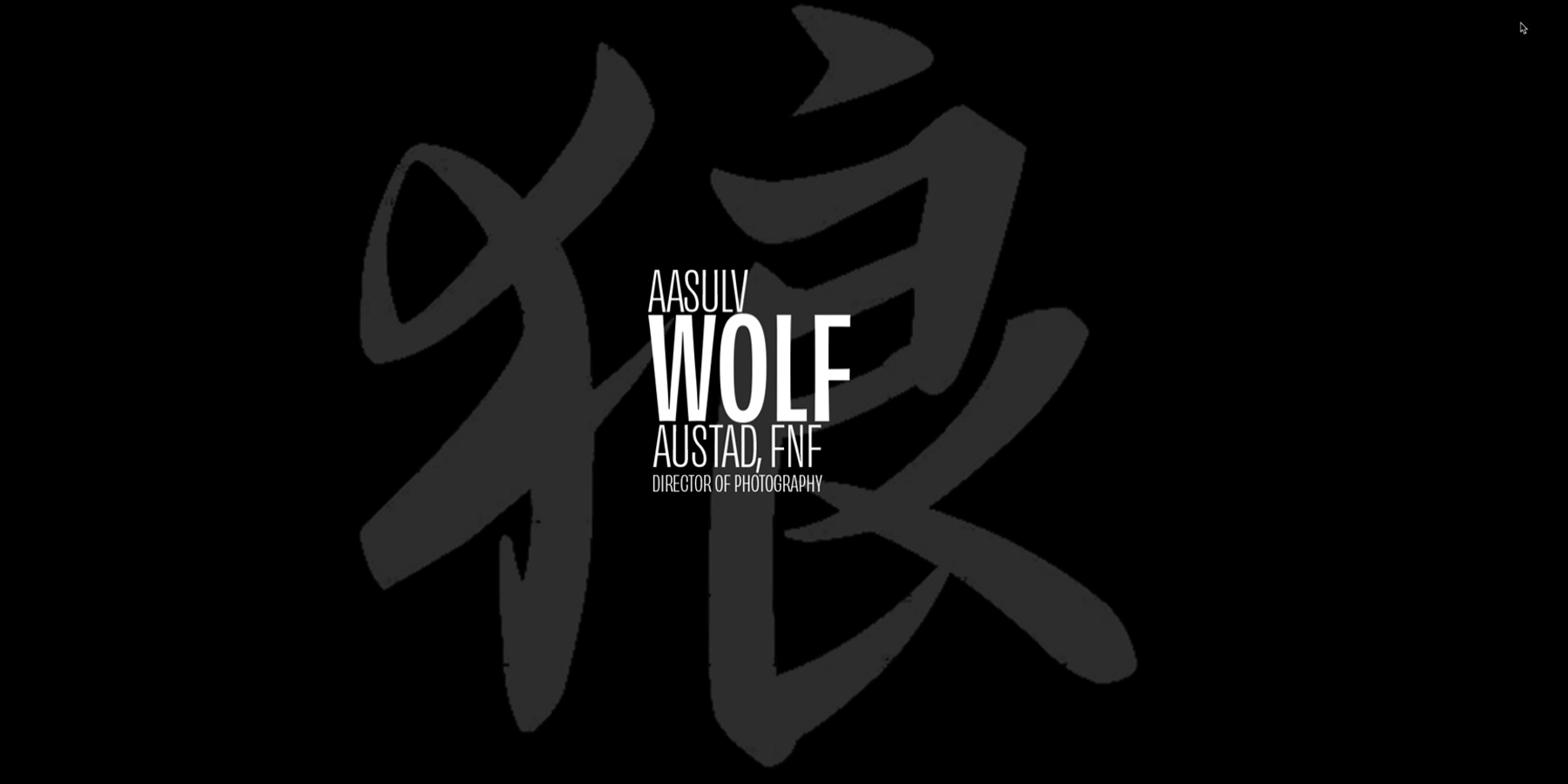 Home page of Aasulv Wolf Austad website image
